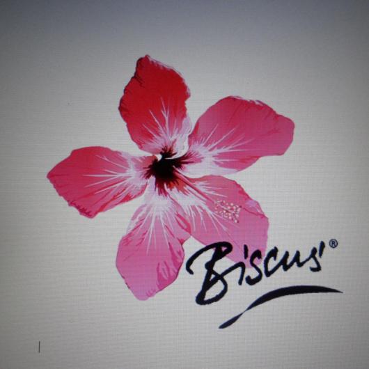 Entreprise artisanale de produits naturels à base de la fleur d&#039;hibiscus et compagnie. 